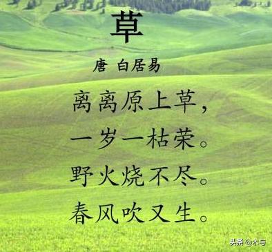 赋得古原草送别古诗完整版（赋得古原草送别古诗完整版隔断）