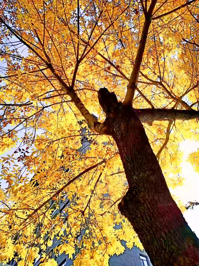 描写山水景色的古诗有哪些（描写山水景色的古诗四首）