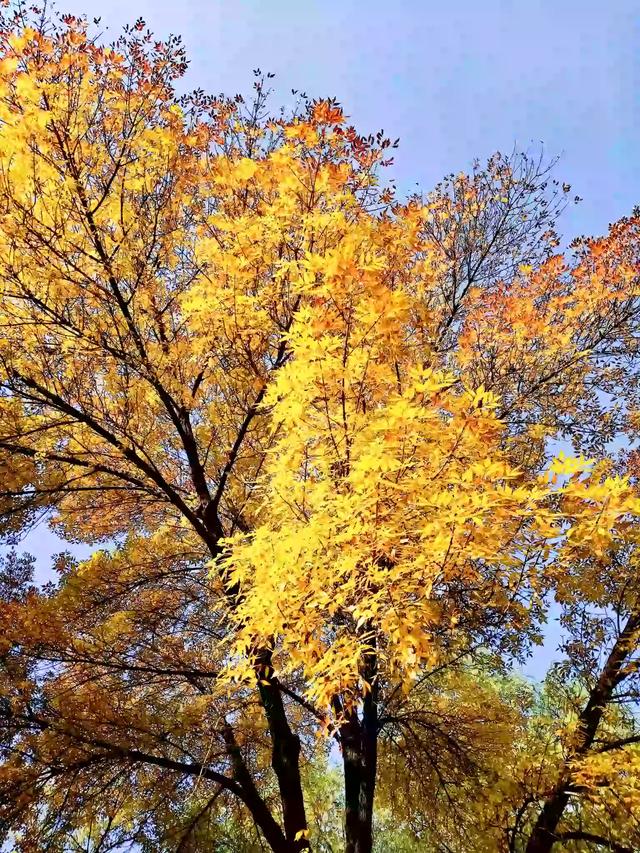 描写山水景色的古诗有哪些（描写山水景色的古诗四首）