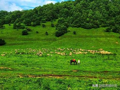 关山牧场旅游攻略（关山牧场旅游攻略图）