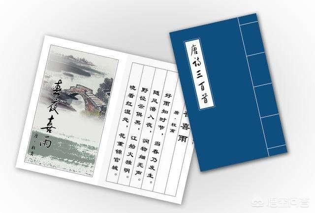 唐诗三百首诗句（唐诗三百首10句）