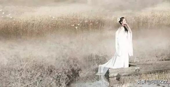 蒹葭第一节描绘画面（蒹葭的第一节）