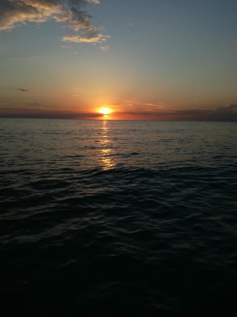 海日生残夜的生的意思（海日生残夜的生是什么意思古义和今义）