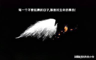 励志语录经典短句名人名言（励志语录经典短句名人名言大全）