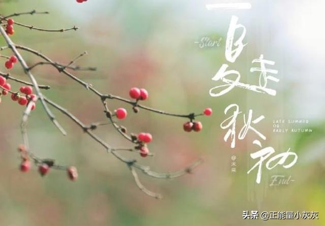 描写初秋的诗句古诗大全（描写初秋的诗有哪些）