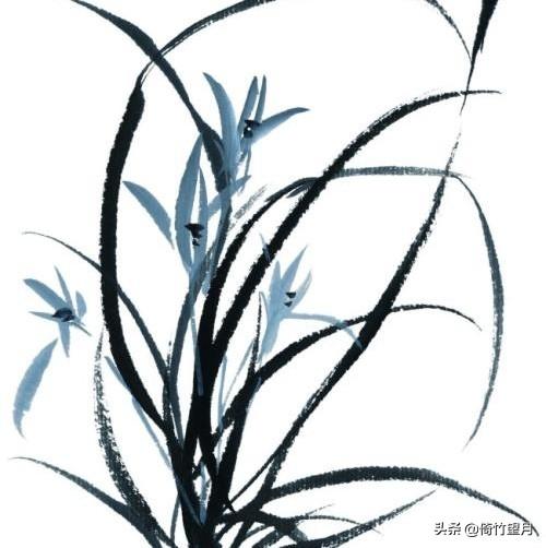 兰花的诗词佳句（兰花的诗词佳句有哪些）