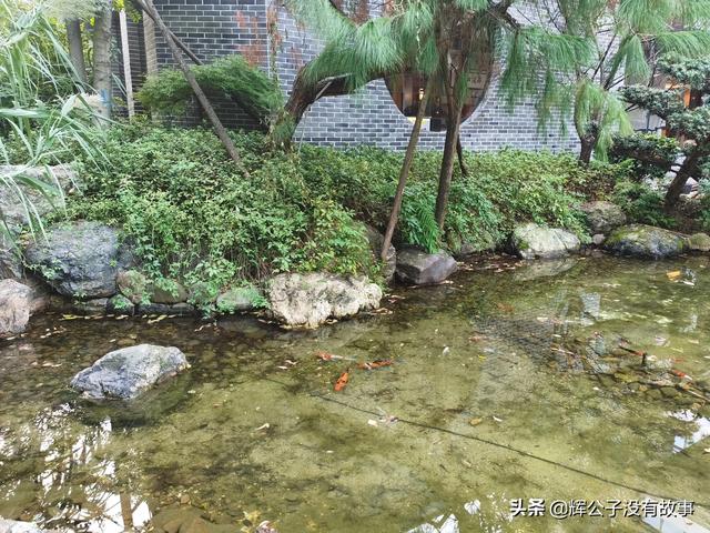 山有木兮木有枝是什么歌（山有木兮木有枝歌曲）