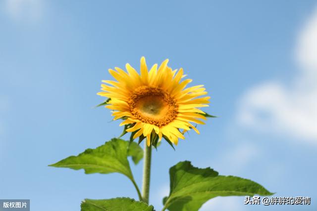 励志的话正能量句子（儿子励志的话正能量句子）