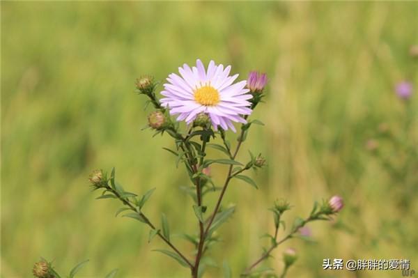 励志的话正能量句子（儿子励志的话正能量句子）