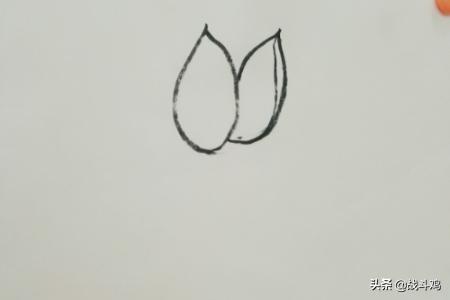 国画荷花水墨画（国画荷花水墨画 写意）