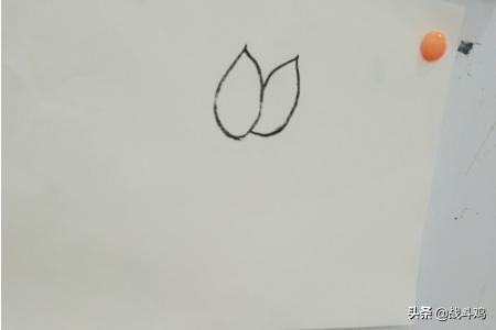 国画荷花水墨画（国画荷花水墨画 写意）