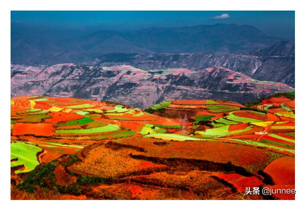 中国诗词五千首（中国诗词五千首大全）