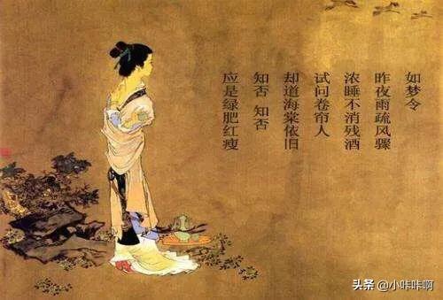 知否知否李清照全诗赏析（知否知否李清照 全诗）