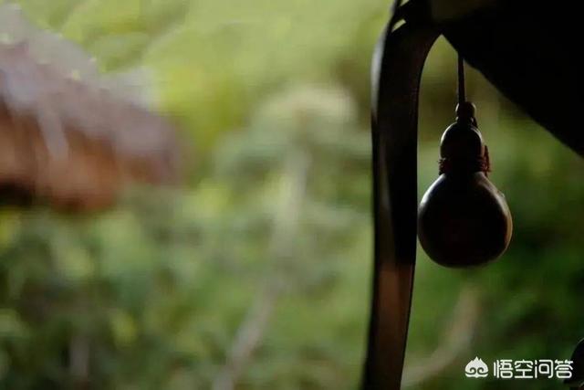 吾生也有涯全文翻译（吾生也有涯怎么读拼音）