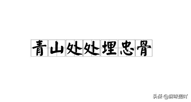 青山处处埋忠骨全诗出处（《己亥杂诗》青山处处埋忠骨）