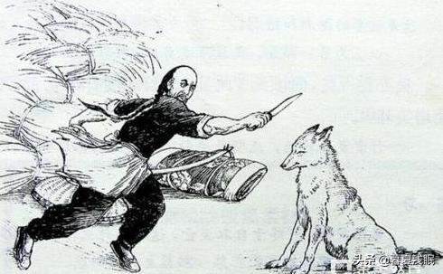 狼全文翻译及原文（文言文《狼》原文）