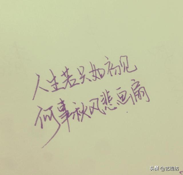 人生若只如初见表达的是什么情感