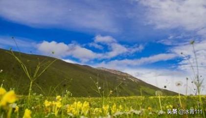 浅草才能没马蹄深层含义（浅草才能没马蹄上一句是什么意思）