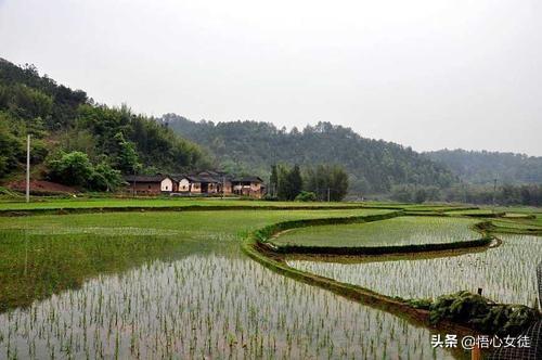 四时田园杂兴其一古诗带拼音